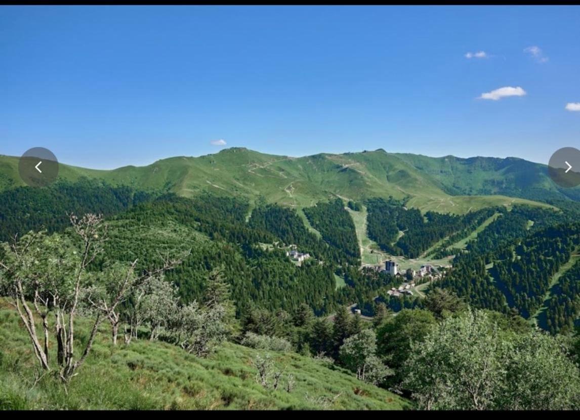 Village Montanha Lioran 圣雅克·德波尔 外观 照片